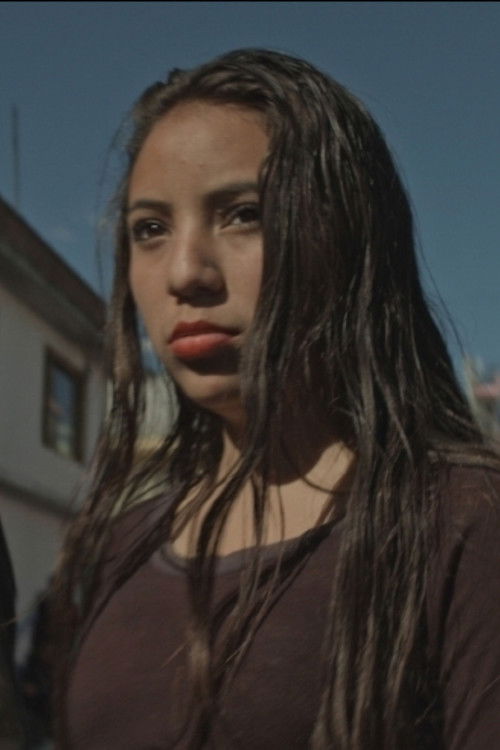 The Girls Who Were Not Afraid (2017) poster