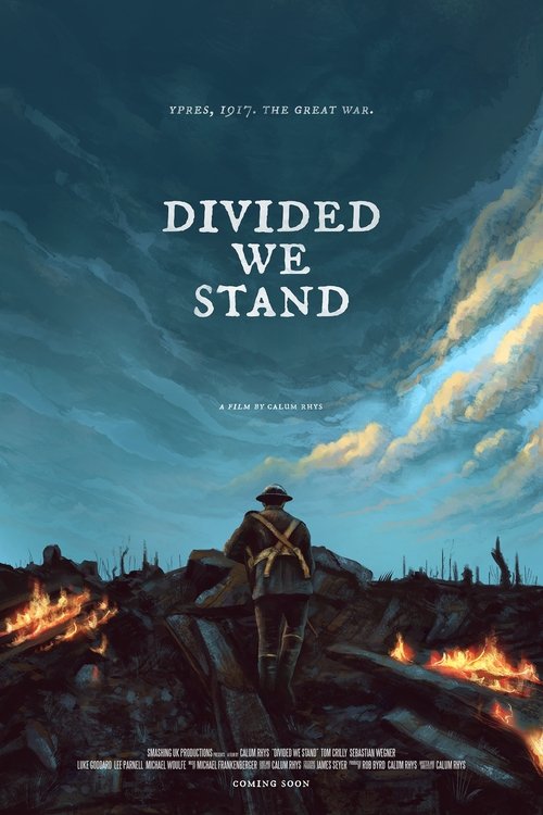 Divided We Stand (2020) poster