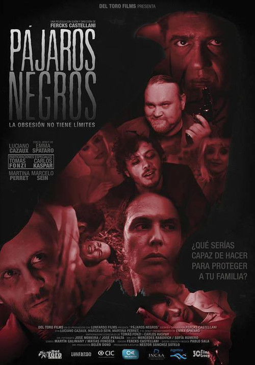 Pájaros negros (2015) poster