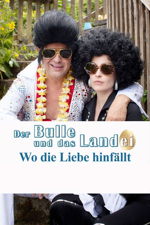 Der Bulle und das Landei - Wo die Liebe hinfällt (2015) poster
