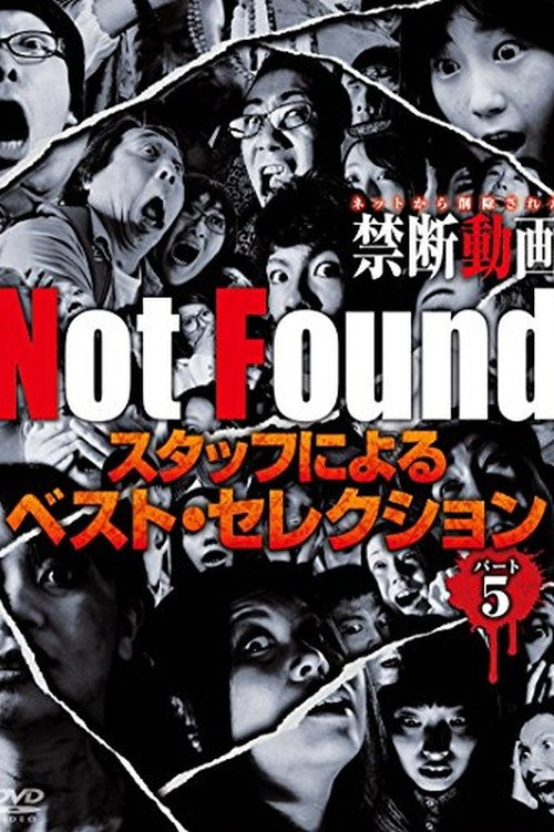 Not Found - Forbidden Videos Removed from the Net - Best Selection by Staff Part 5 (2018) poster