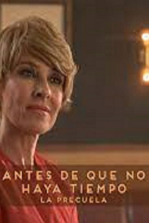 Antes de que no haya tiempo (2020) poster