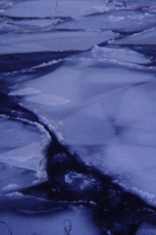 The Sound of Images (2022) poster