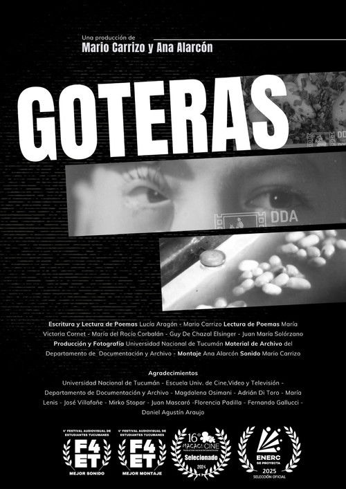 Goteras (2025) poster