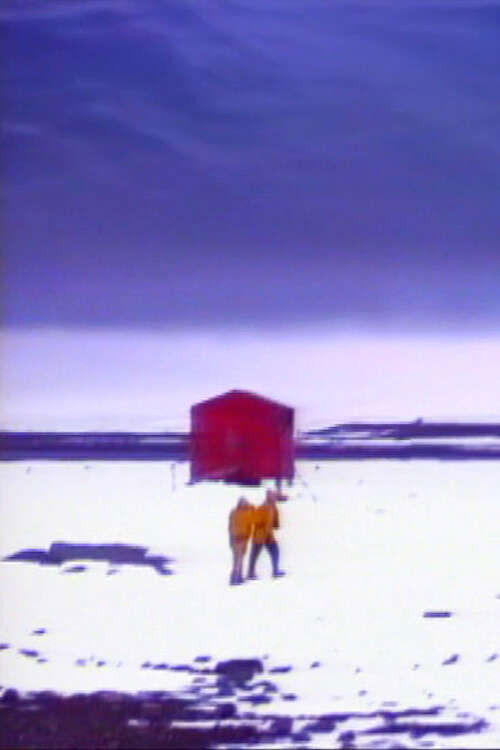 Winter Journey (1993) poster