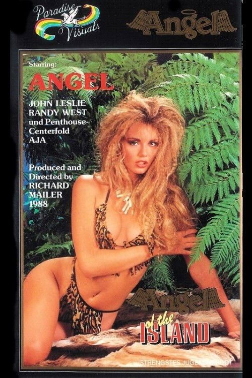 Angel of the Island (1989) poster