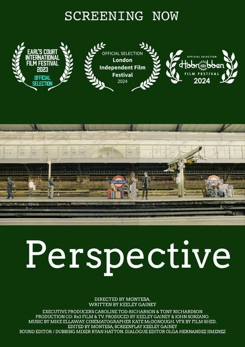 Perspective (2023) poster