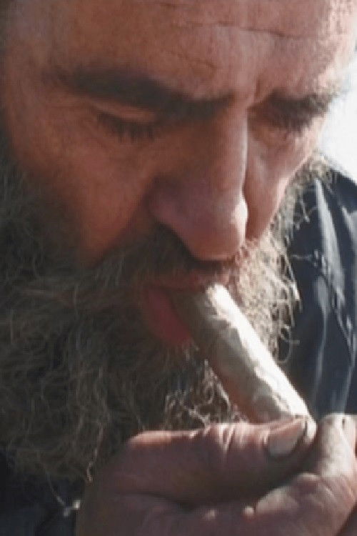 Above Average (2009) poster