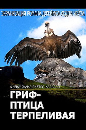 The Vulture Is a Patient Bird (1991) poster