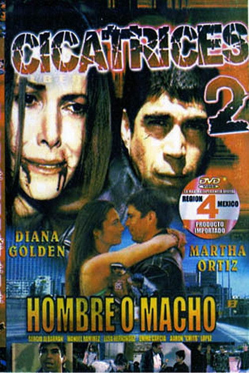 Scars 2 (2007) poster