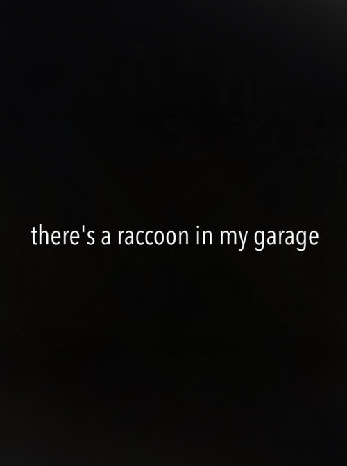 There's a Raccoon in My Garage (2024) poster