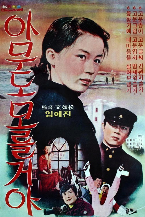 아무도 모를꺼야 (1977) poster