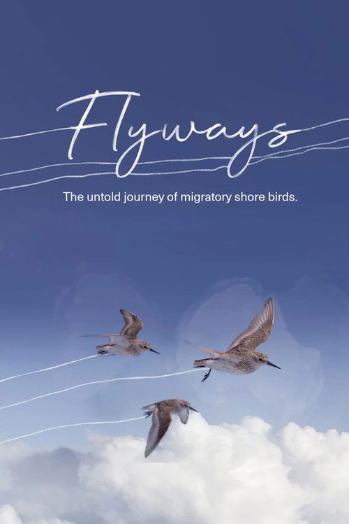 Flyways (2023) poster