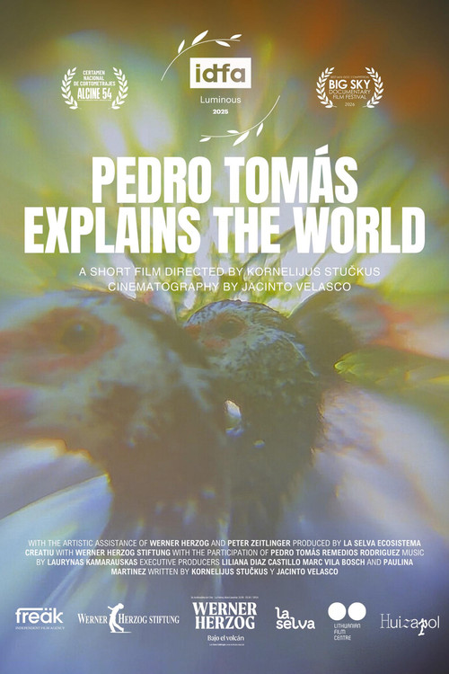 Pedro Tomás Explica El Mundo (2025) poster