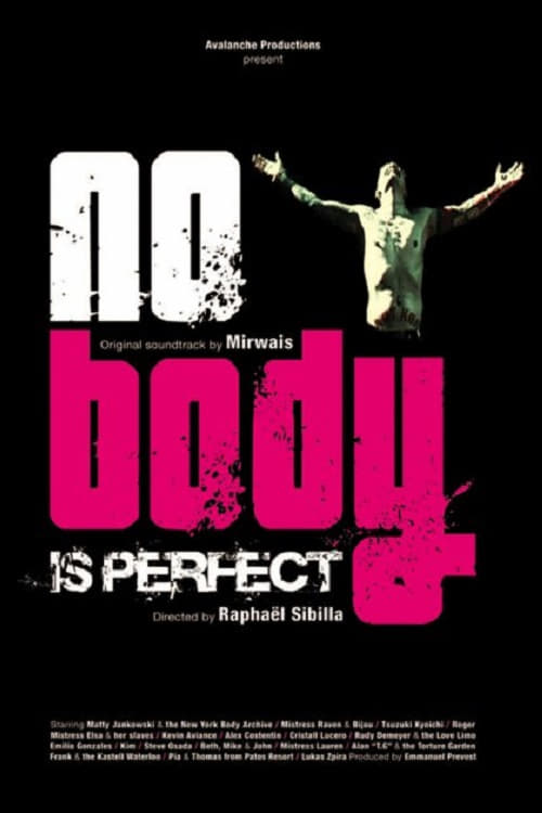 No Body Is Perfect (2006) poster