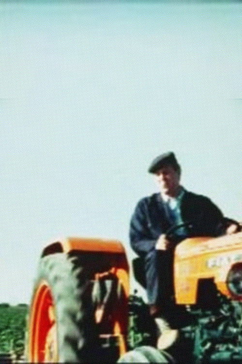 Summer in the Fields (1967) poster