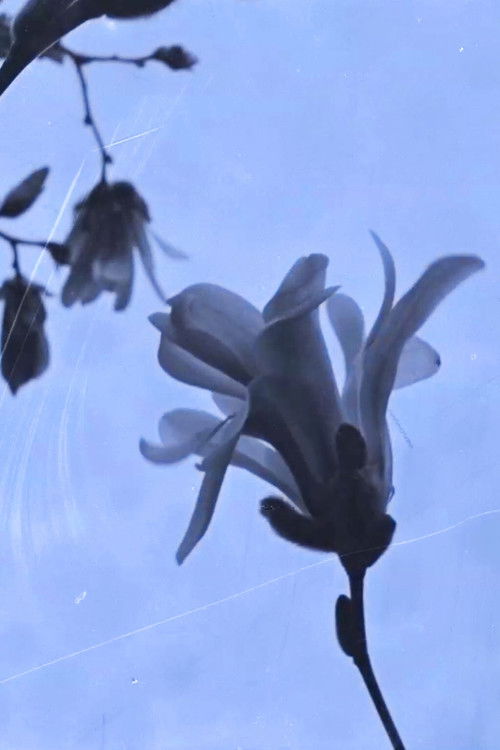 Ending 2 (2017) poster