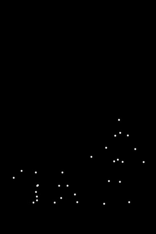 Tokyo Strut (2006) poster