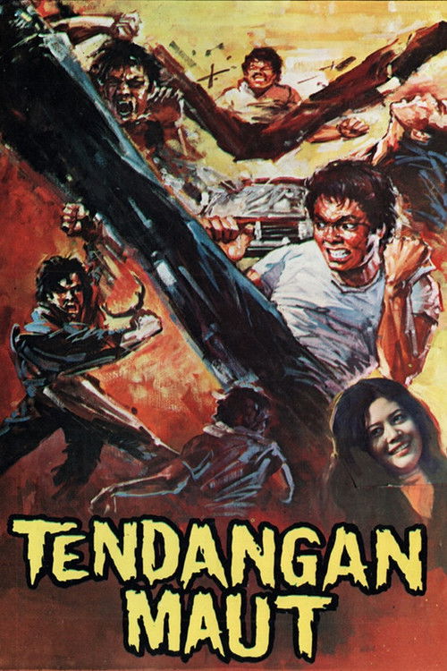 Deadly Kick (1973) poster