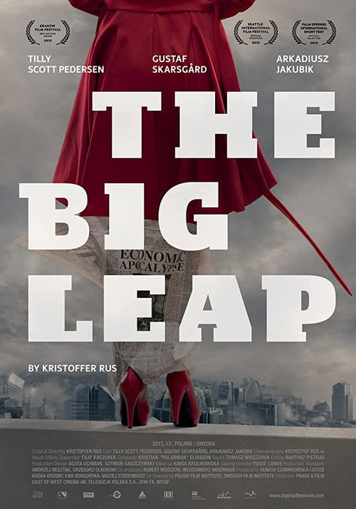 The Big Leap (2013) poster