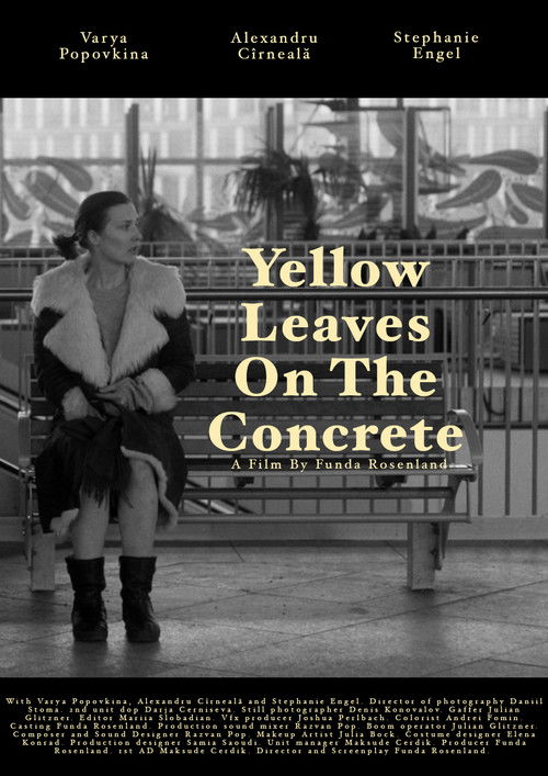 Yellow leaves on the concrete (2025) poster