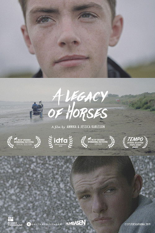A Legacy of Horses (2020) poster