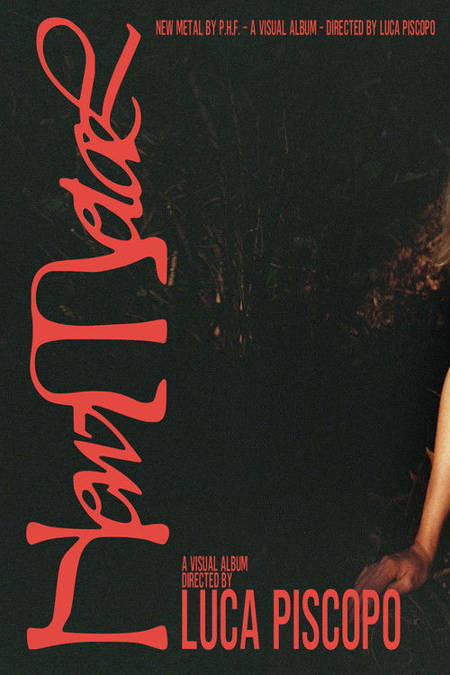 New Metal (2020) poster