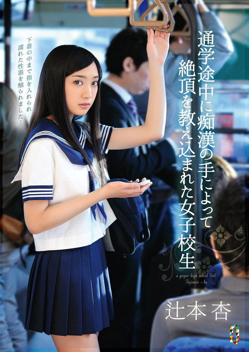 A Schoolgirl Is Taught A Lesson in Ecstasy By The Hands Of A Molester While On Her Way To School Starring Ann Tsujimoto (2015) poster