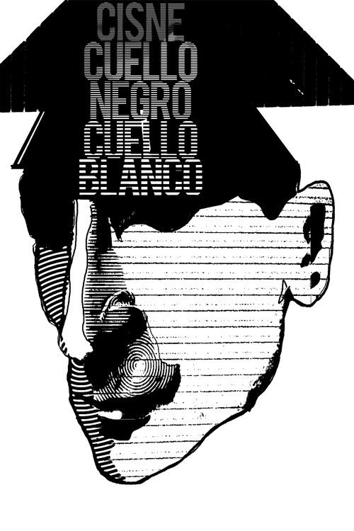 The Swan of Wishes (2009) poster