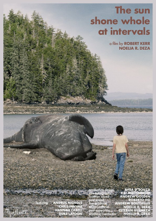 The Sun Shone Whole at Intervals (2023) poster