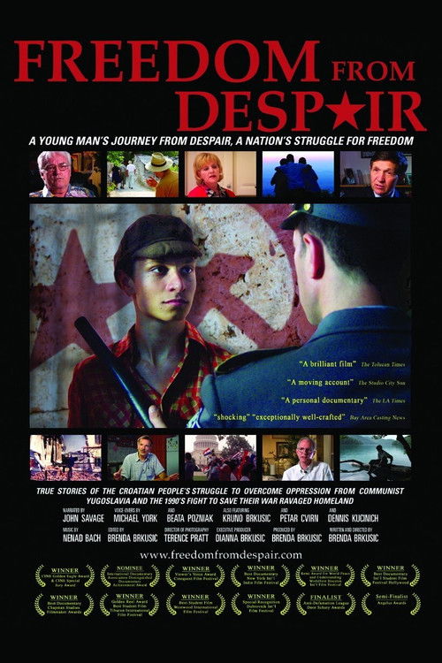 Freedom from Despair (2004) poster