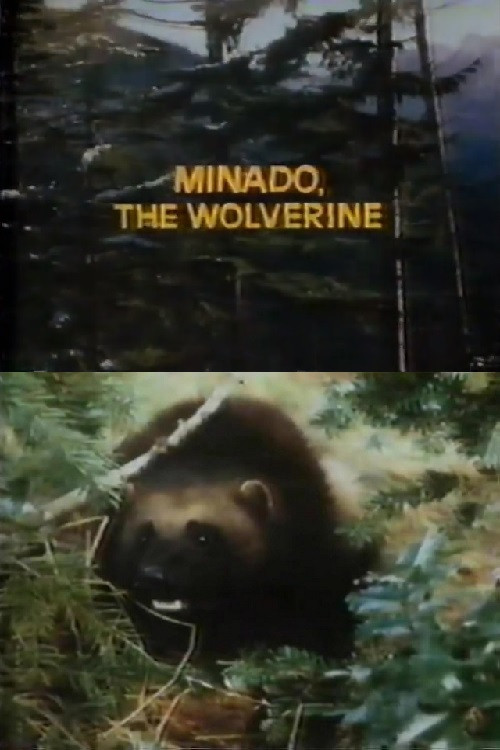 Minado, the Wolverine (1965) poster