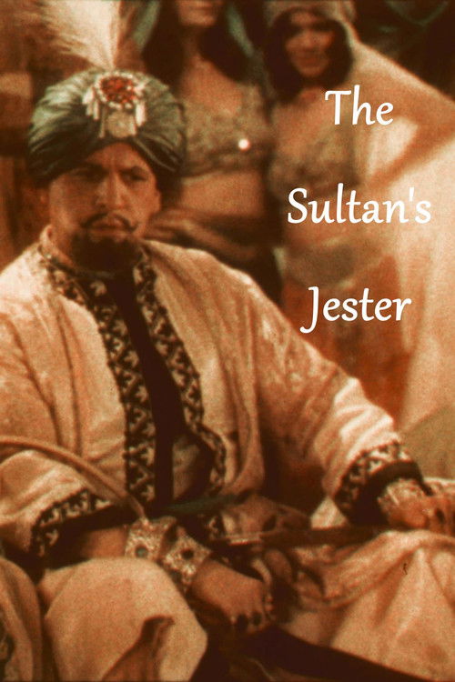The Sultan's Jester (1930) poster