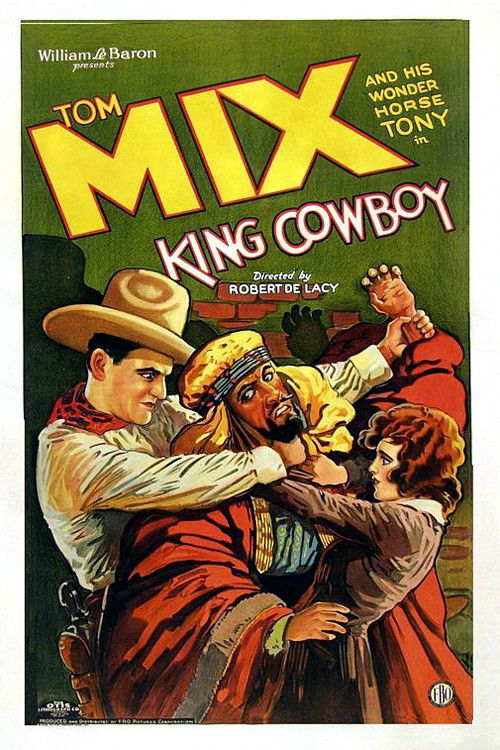 King Cowboy (1928) poster