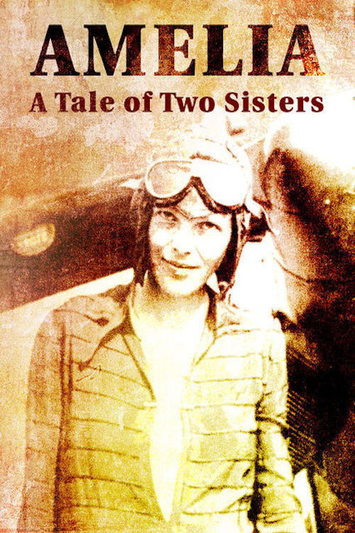 Amelia: A Tale of Two Sisters (2017) poster