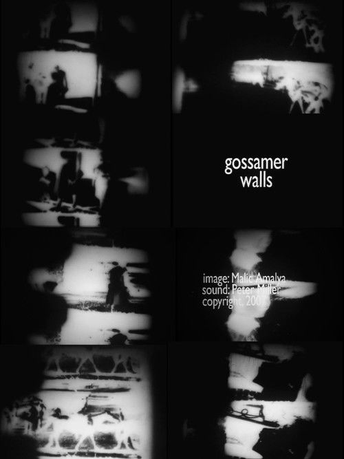 Gossamer Walls (2007) poster