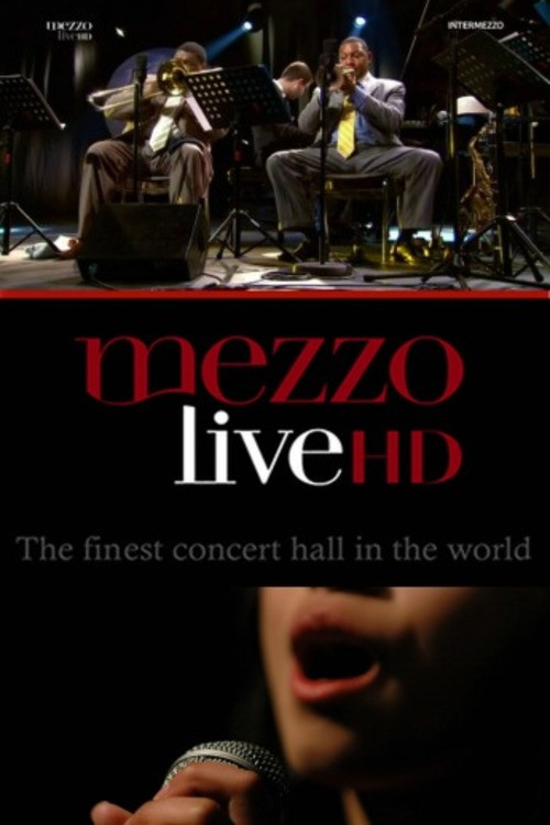 VA - Jazz Intermezzo Vol.1 (2013) poster