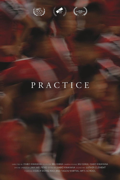 Practice (2018) poster