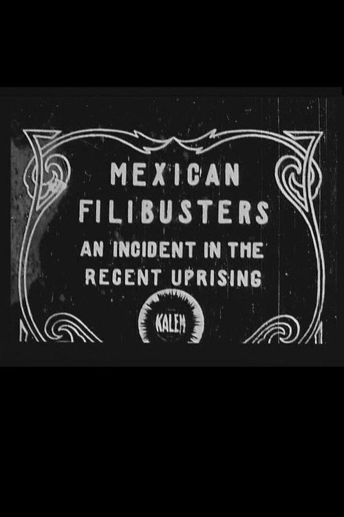 Mexican Filibusters (1911) poster