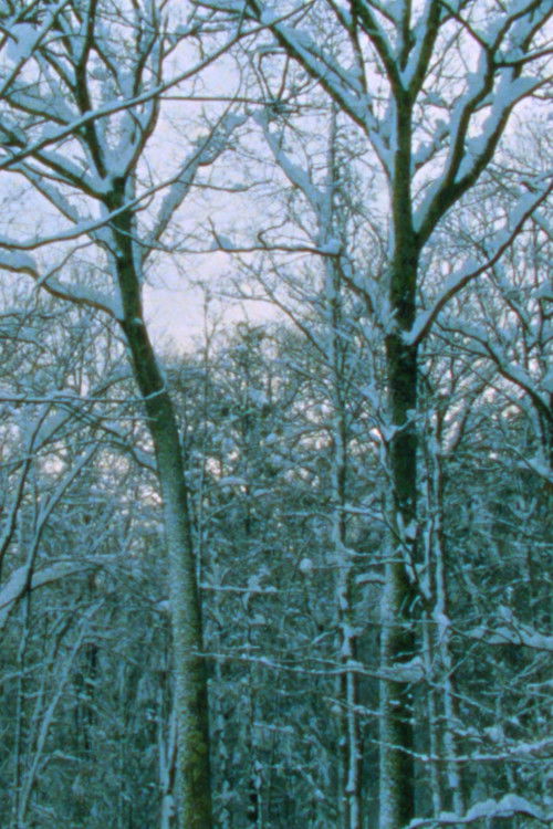 After the Storm (2023) poster