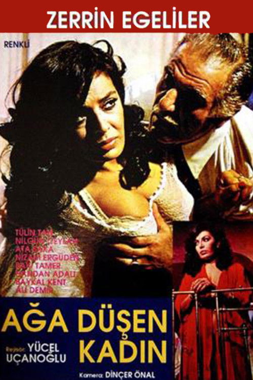 Ağa Düşen Kadın (1979) poster