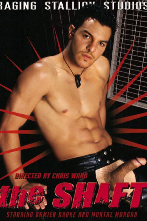 The Shaft (2005) poster