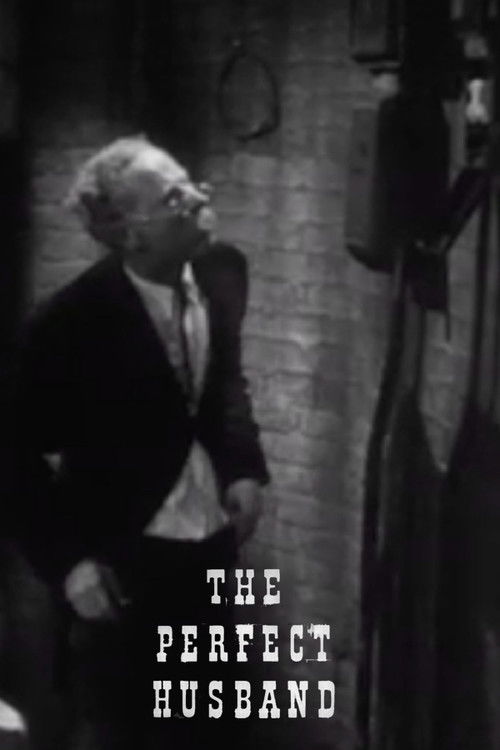 The Perfect Husband (1952) poster