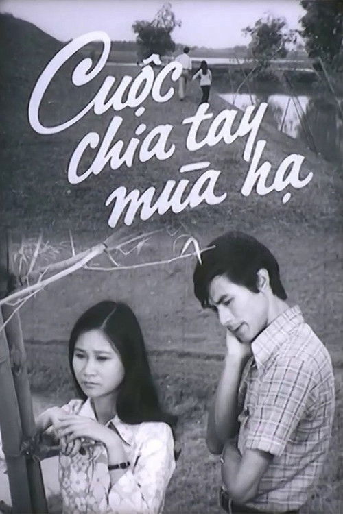 Cuộc Chia Tay Mùa Hạ (1982) poster