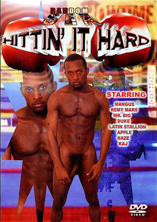 Hittin' It Hard (2007) poster