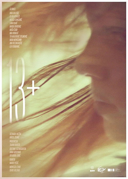 13+ (2016) poster