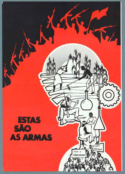 Estas são as armas (1978) poster