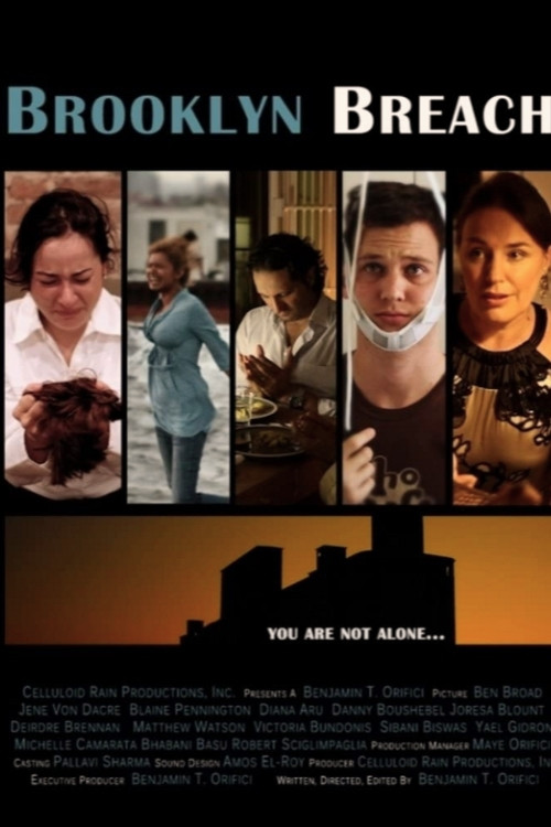 Brooklyn Breach (2012) poster