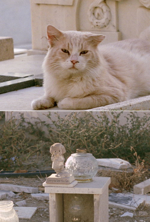 Sorry to See You Go (2024) poster