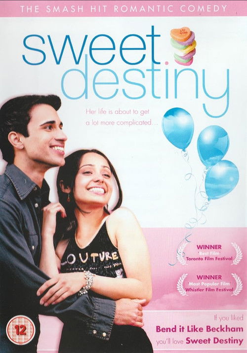 Pink Ludoos (2004) poster